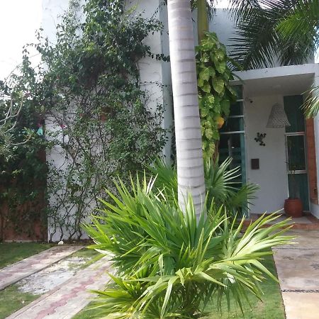 Casa Rioja Playacar Bed and Breakfast Πλάγια Ντελ Κάρμεν Εξωτερικό φωτογραφία