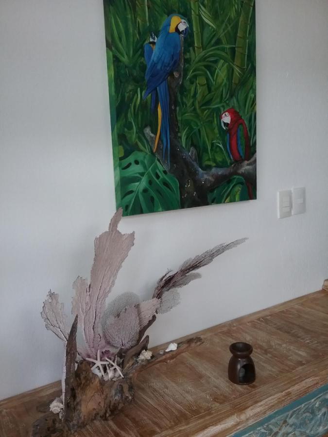 Casa Rioja Playacar Bed and Breakfast Πλάγια Ντελ Κάρμεν Εξωτερικό φωτογραφία