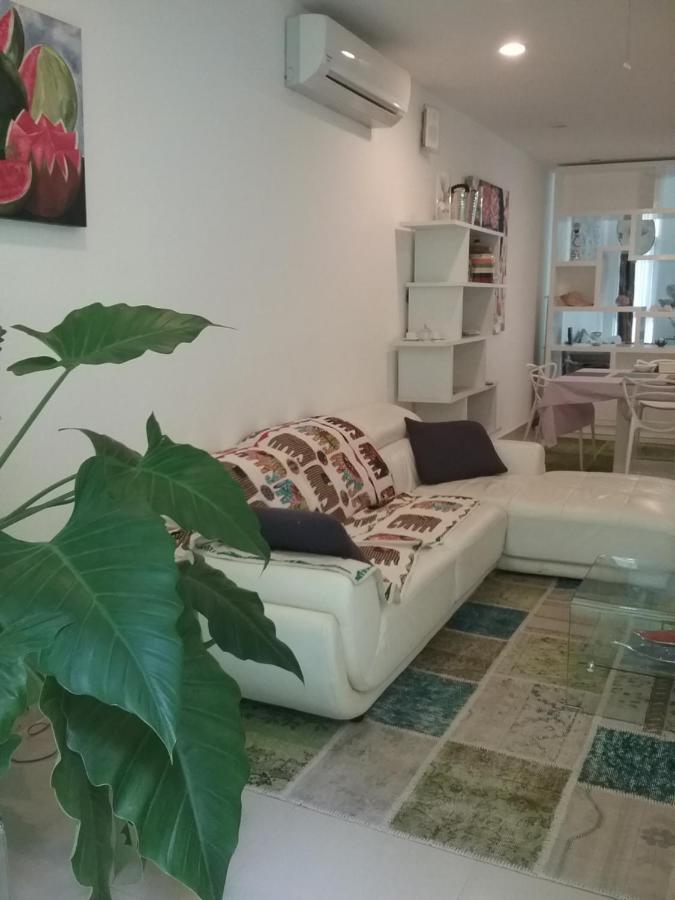 Casa Rioja Playacar Bed and Breakfast Πλάγια Ντελ Κάρμεν Εξωτερικό φωτογραφία